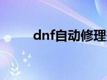dnf自动修理规则（dnf自动修理）