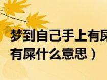 梦到自己手上有屎预示着什么（梦到自己手上有屎什么意思）