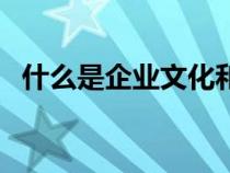 什么是企业文化和使命（什么是企业文化）