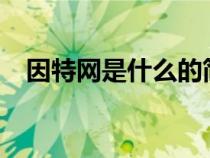 因特网是什么的简称?（因特网又叫什么）
