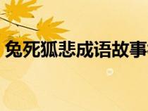 兔死狐悲成语故事视频（兔死狐悲成语故事）