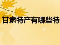 甘肃特产有哪些特产零食（甘肃特产有哪些）