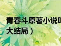 青春斗原著小说叫什么名字（青春斗小说原名大结局）