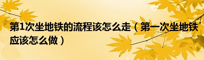 第1次坐地铁的流程该怎么走（第一次坐地铁应该怎么做）