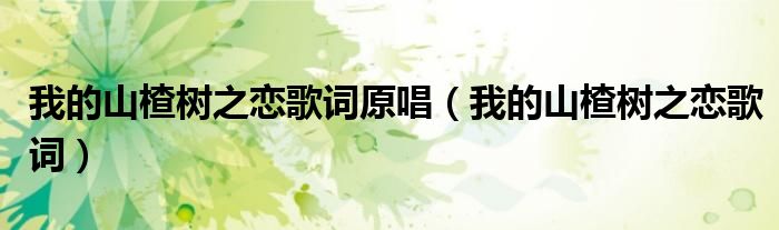 我的山楂树之恋歌词原唱（我的山楂树之恋歌词）