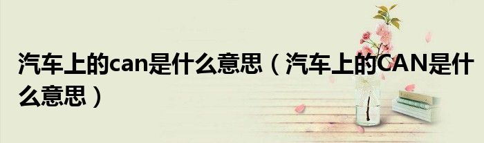 汽车上的can是什么意思（汽车上的CAN是什么意思）