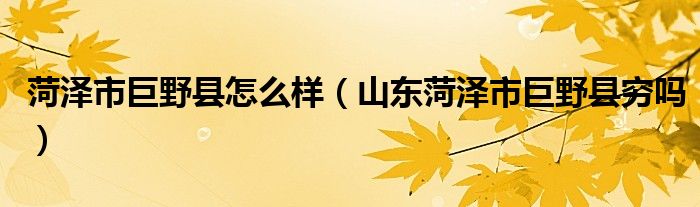 菏泽市巨野县怎么样（山东菏泽市巨野县穷吗）