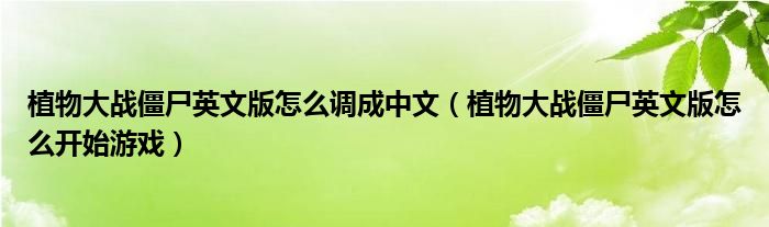 植物大战僵尸英文版怎么调成中文（植物大战僵尸英文版怎么开始游戏）