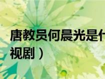 唐教员何晨光是什么电视剧（何晨光是什么电视剧）
