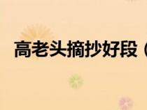 高老头摘抄好段（高老头摘抄段落及赏析）