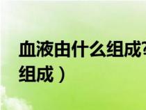 血液由什么组成?各有什么作用（血液由什么组成）