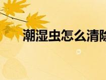 潮湿虫怎么清除（潮湿虫怎么消灭掉）