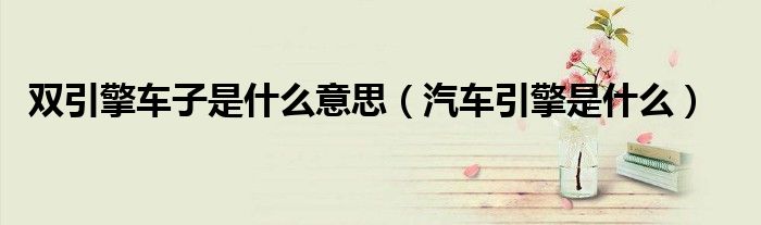 双引擎车子是什么意思（汽车引擎是什么）