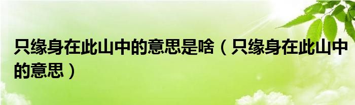 只缘身在此山中的意思是啥（只缘身在此山中的意思）