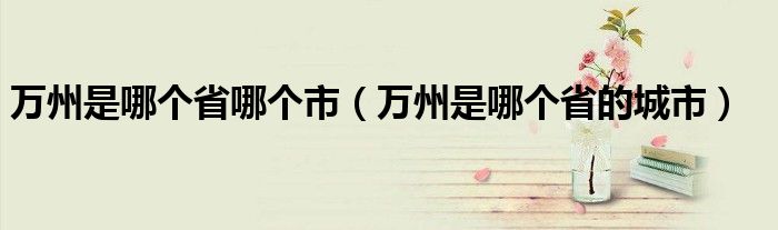 万州是哪个省哪个市（万州是哪个省的城市）