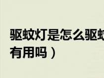 驱蚊灯是怎么驱蚊的（如何挑选驱蚊灯驱蚊灯有用吗）