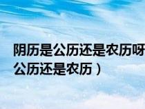 阴历是公历还是农历呀龙年的对联龙年的祝福诗词（阴历是公历还是农历）