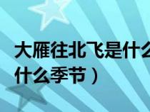 大雁往北飞是什么季节的特点（大雁往北飞是什么季节）