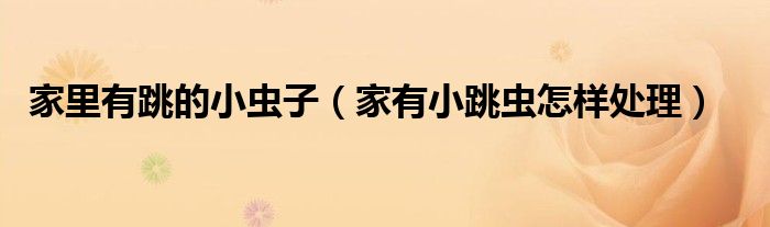 家里有跳的小虫子（家有小跳虫怎样处理）