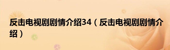 反击电视剧剧情介绍34（反击电视剧剧情介绍）