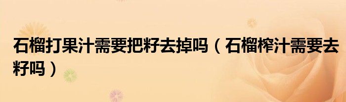 石榴打果汁需要把籽去掉吗（石榴榨汁需要去籽吗）