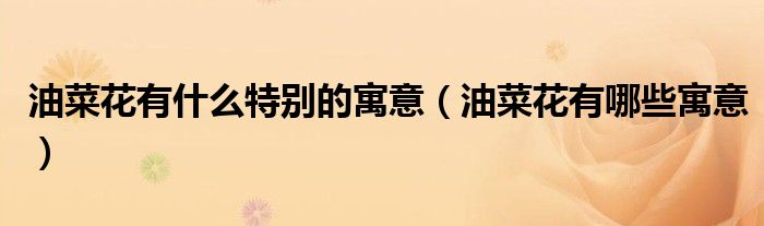 油菜花有什么特别的寓意（油菜花有哪些寓意）