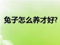 兔子怎么养才好?（兔子怎么养怎么养兔子）