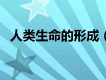 人类生命的形成（人的生命是怎么形成的）