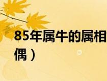 85年属牛的属相婚配表（85年属牛的最佳配偶）