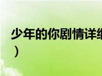 少年的你剧情详细介绍100字（少年的你剧情）