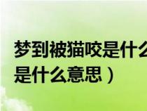梦到被猫咬是什么意思周公解梦（梦到被猫咬是什么意思）