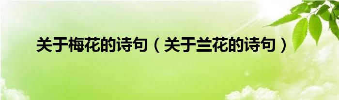 关于梅花的诗句（关于兰花的诗句）