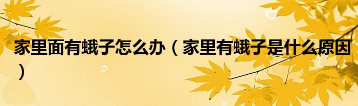 家里面有蛾子怎么办（家里有蛾子是什么原因）