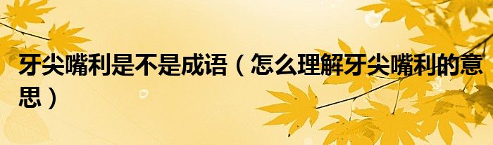 牙尖嘴利是不是成语（怎么理解牙尖嘴利的意思）