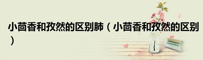 小茴香和孜然的区别肺（小茴香和孜然的区别）