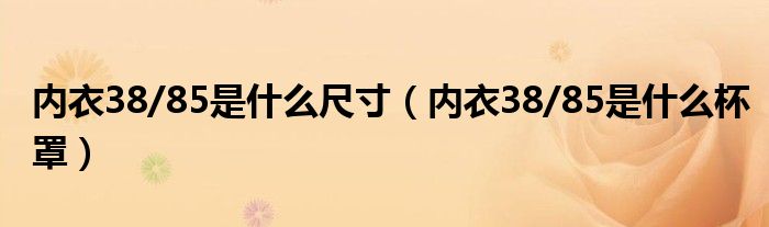 内衣38/85是什么尺寸（内衣38/85是什么杯罩）