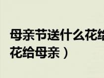 母亲节送什么花给母亲合适呢（母亲节送什么花给母亲）