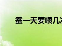 蚕一天要喂几次?（蚕一天要喂几次）