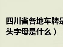 四川省各地车牌是什么开头（四川的车牌号开头字母是什么）