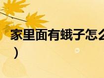 家里面有蛾子怎么办（家里有蛾子是什么原因）