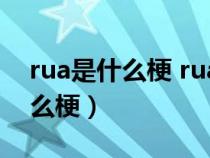 rua是什么梗 rua到底是什么意思（rua是什么梗）