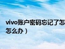 vivo账户密码忘记了怎么办进入系统（vivo账户密码忘记了怎么办）