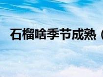 石榴啥季节成熟（石榴什么时候成熟季节）