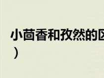 小茴香和孜然的区别肺（小茴香和孜然的区别）