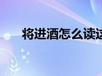 将进酒怎么读这首诗（将进酒怎么读）