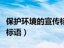 保护环境的宣传标语有哪些（保护环境的宣传标语）