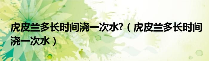 虎皮兰多长时间浇一次水?（虎皮兰多长时间浇一次水）