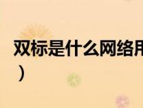 双标是什么网络用语（网络用语双标什么意思）