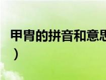 甲胄的拼音和意思是什么（甲胄的拼音和意思）