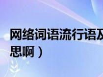 网络词语流行语及意思（网络流行语是什么意思啊）